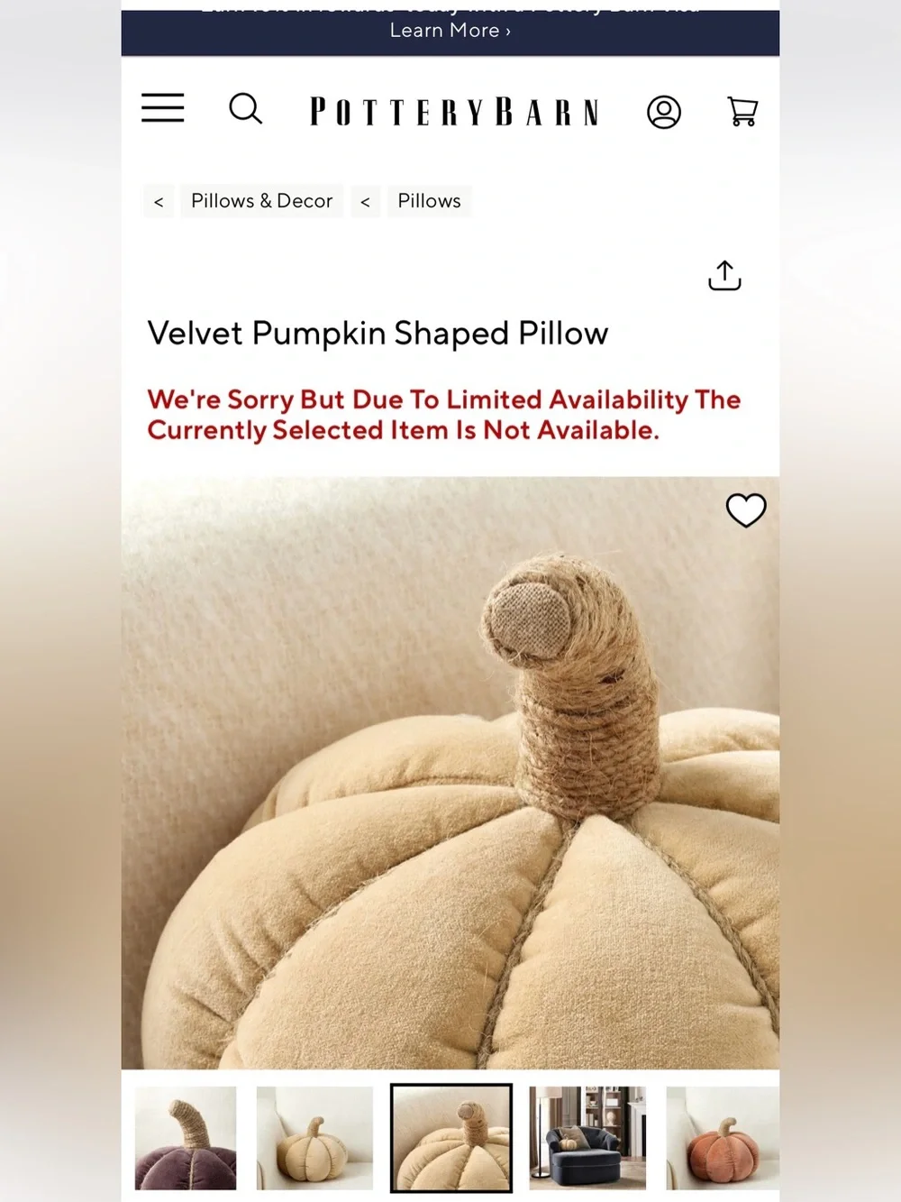 Rare Set of 2 Pottery Barn Velvet Pumpkin Pillows; Camel & Fig- NO Orange incl’d